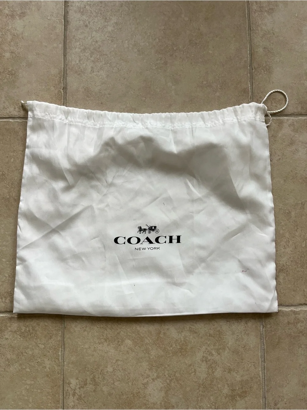 Coach Swagger 20 Willow Floral Tea Rose Leather Crossbody Bag